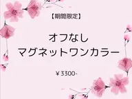 【期間限定】オフなし　マグネットワンカラー　¥3300