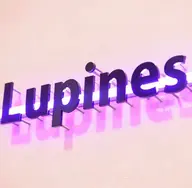 🌼上下まつげパーマ🌼