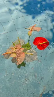 【パリエク】🎀ラッシュリフト×バインドロック60束👀セットメニュー