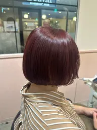 〖カット〗×Aujua髪質改善トリートメント×頭浸浴𓂃 𓈒𓏸