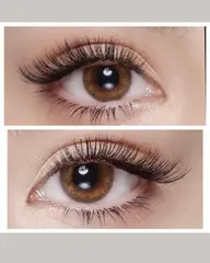 👍👑バインドロック80束（ボリューム約300本）特殊技術，スピーディー，持続性と濃密感抜群👑👑，