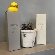 🌼質感が2ヶ月持続‼️🌼✨✨生オイルトリートメント+ホームケア✨✨