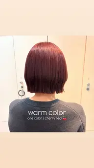 《🍒onecolorでも可愛い🍒》暖色カラー.⋆𝜗𝜚(肩下ロング料金+¥1,100)