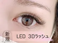 【練習モデル】led 3Dラッシュ 60束 ¥1000