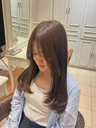 【半額モデル　カット、シングルカラー】