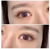 ダブルフラットラッシュ［セーブル］つけ放題