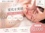 小顔コルギ＆整体コルギ＆かっさ 50分✨