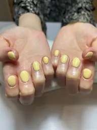 🎀 ワンカラー 🎀