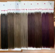 今話題の【羽エクステ🪽】SS毛質 80本 40cm エクステモデル