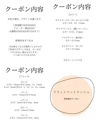 オフ込み長さカール限定フラットラッシュ100本（マット）新規のみ予約可⏰カラーエクステも！Lカール有り束感仕上げも可
