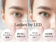 👀LEDマツエク👀【バインドロック60束】🌸付け足しok❗️※オフする場合別途¥500