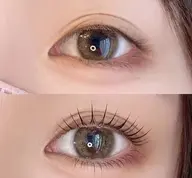 【オフ不可】フラットラッシュ120本