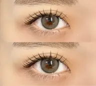 💛パリエク40本💛（マスカラ一度塗りくらいの濃さ）