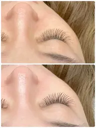 オフ込み🌷デザインキープラッシュ60束（ナチュラルに盛れる）