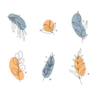 ジェルネイルオフのみ（アセトン使用）