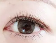 フラットラッシュ100本【オフ込み】