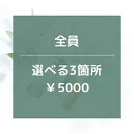 【男女OK】 人気メニュー☆選べる3箇所脱/5000円