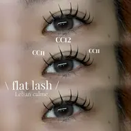 LEDフラットラッシュ120本