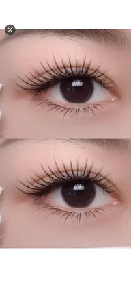 マツエク3Dラッシュリフト100束LED無料コティング付き