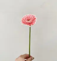 【🪻お花一輪プレゼント🪻】カット＋イルミナカラー＋COTAトリートメント