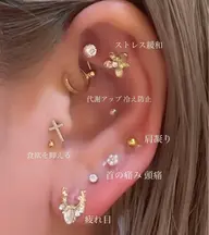 ＼✨️💎耳つぼジュエリー💎✨️／12ヶ所(両耳)
