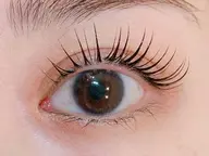 ダブルフラットラッシュ 【120束】➕束感コーティング仕上げ