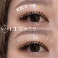 下がりまつ毛にお悩みの方に👼🏻︎LEDグルー🩵アンドヘルシー フラット120本orバインド60束
