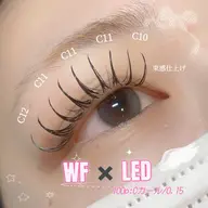 ⭐️高持続＆⭐️激可愛🎀ダブルフラットラッシュ🎀100束（200本 ）🎀束感好きな方に大人気🫶（指名料込）