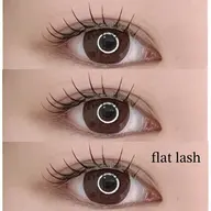 フラットラッシュ100本🌟