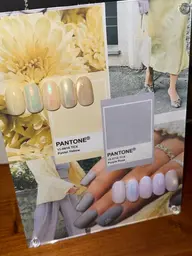 🔴新規様限定🔴オフなし🔴【春の定額】