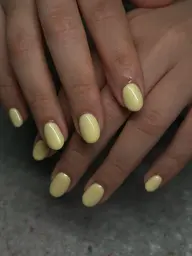 -` ̗オフなし   ̖́-ワンカラー