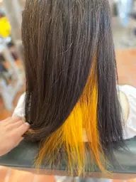 インナーカラー(ブリーチ+ポイントオンカラー)+2stepトリートメント/8900