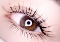 《🦋上下エクステ🦋》140本振り分けぱっちりeye✨ (初回無料)【LEDオフ+880円】