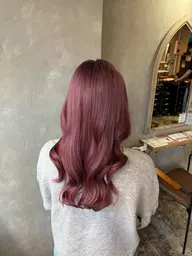 全頭ブリーチ+オンカラーorリタッチ+オンカラー『 4月15日10:00-限定』🎀🫧