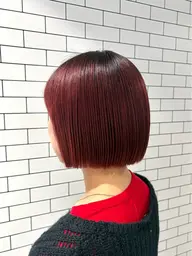 レディースカット+カラー+2stepトリートメント