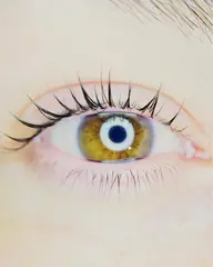 高浸透トリートメント付♪まつ毛パーマ　上下