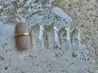 オーダーネイルチップ