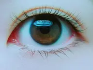 まつ毛エクステ  80本[オフ無料]