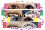 ・ボリュームコース¥6,600→(マスカラを塗って出る濃さ)120本以上付けたい方。最大160本まで