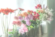 【ヘッドスパ】⋆⸜ COSMOS認証  ⸝⋆ カット+オーガニックセラピスパ𖤐˒˒ ｟20分｠