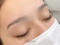 ハリウッドブロウリフトHBL¥6600