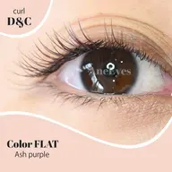 フラットラッシュ 100本