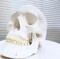 【骨格/小顔マッサージ/矯正/骨盤矯正/美容整体/ドライヘッドスパ/筋膜リリース/などビモテ手技セミナー】高専門技術🍀