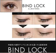 バインドロック80束