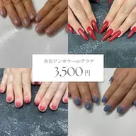 ワンカラー& グラデーション オフ代込み