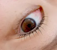 今月限定‼️ご新規様まつ毛パーマ60分（トリートメント付き💚）