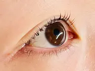 ミニモ限定☆オーダーラッシュリフト+眉スタイリング(wax&間引き、メイク無し)