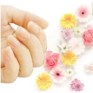 新規オフなし【クリアジェル透明仕上げ】カラーなし・アートなし