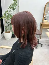 ワンカラー（ブリーチなし）