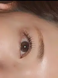 マツパのモニター